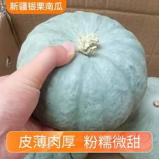 正宗新疆银栗南瓜当季新鲜粉糯微甜蔬菜辅食银贝贝贵族板栗味窝瓜