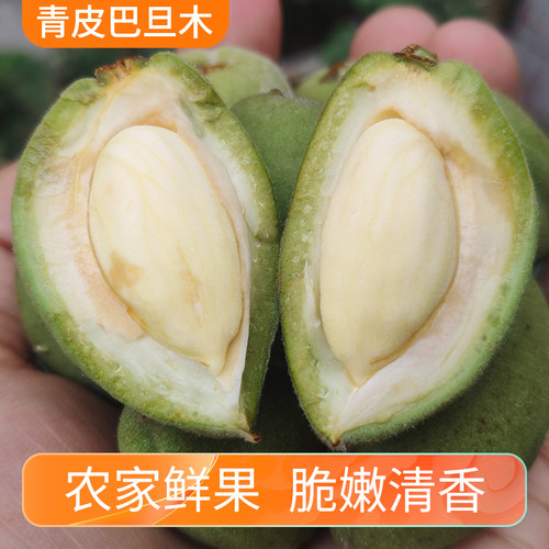 新鲜青皮巴旦木原味薄壳现摘即食