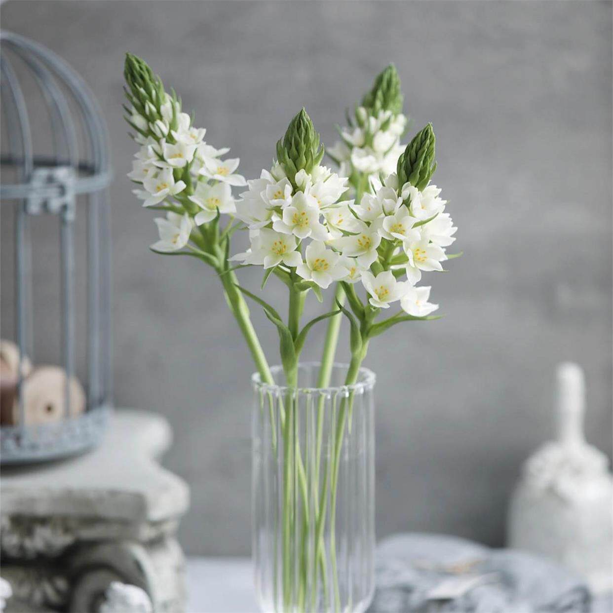 雀梅鲜花白色圣心百合10支时令花材新鲜家养低价直批同城速递包邮