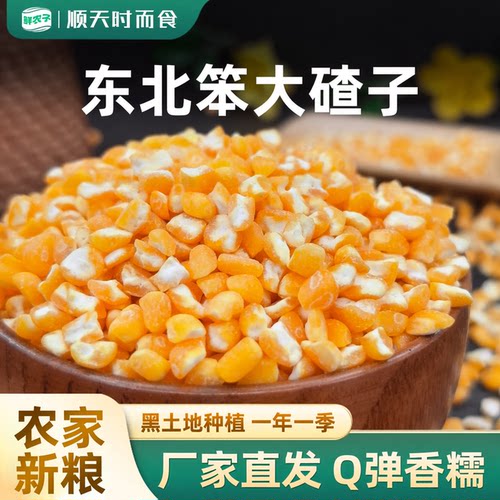 1大粒笨大碴子5斤 东北农家新粮去皮玉米笨碴子苞米茬子煮大碴粥