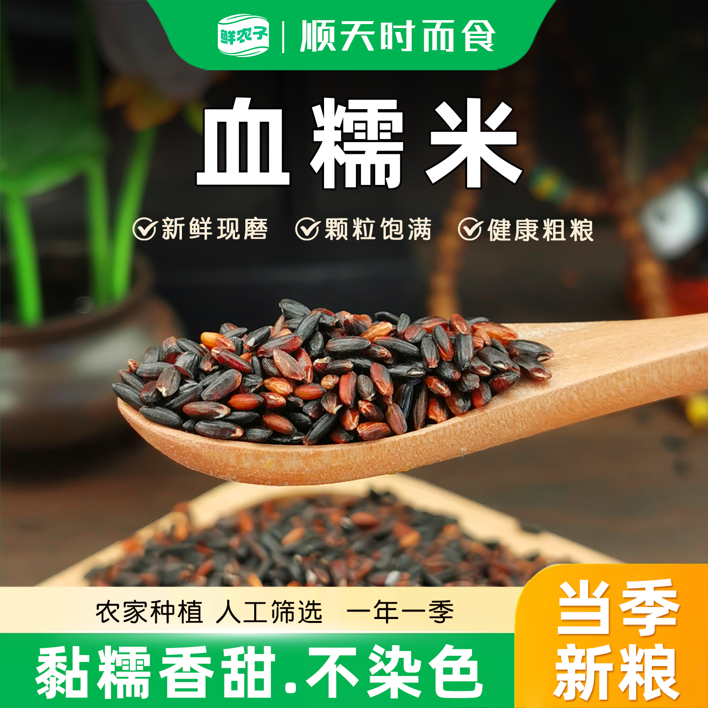 正宗血糯米农家新米五谷杂粮黑糯米黏米包粽子饭团专用粗粮小包装
