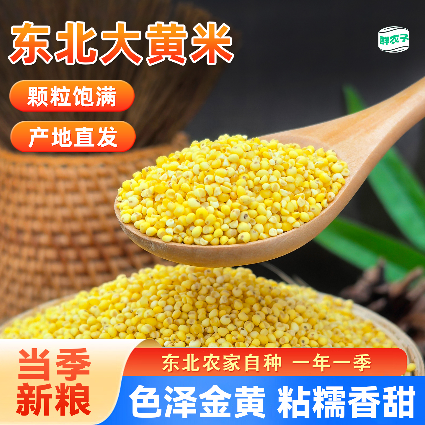 东北大黄米24年农家新货5斤粘米粥包汤圆糯小米粽子黄米五谷杂粮