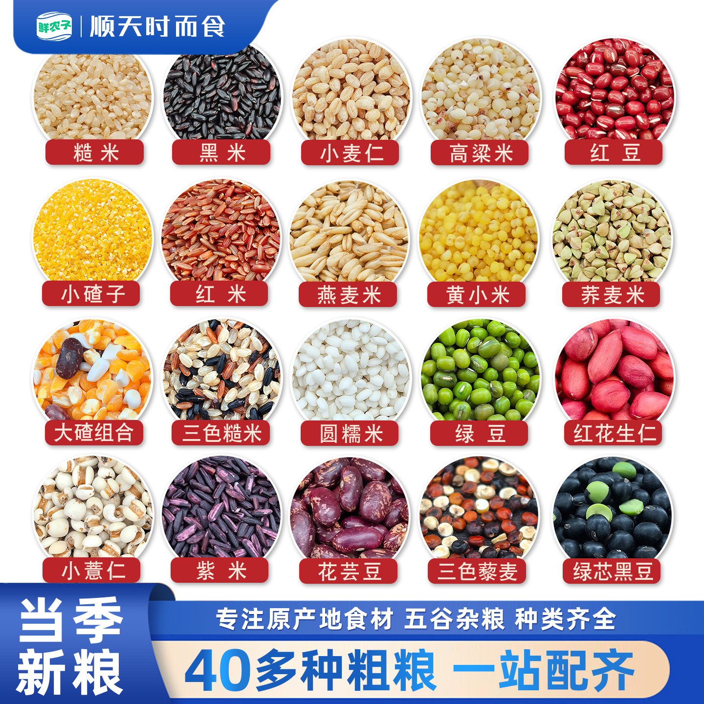 【老客专享】五谷杂粮组合大全豆类米类黄豆糯米大米芸豆糙米燕麦