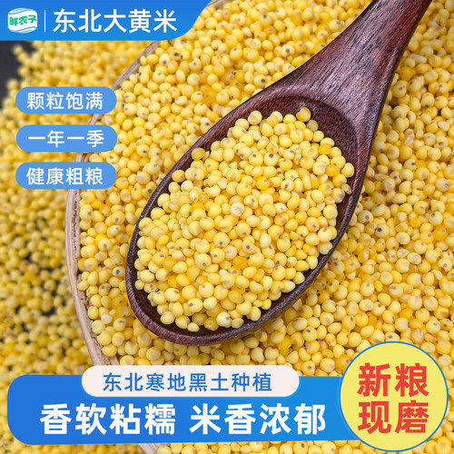 东北大黄米新米糯黄米包粽子蒸年糕熬黏粥健康营养黏小米农家粗粮