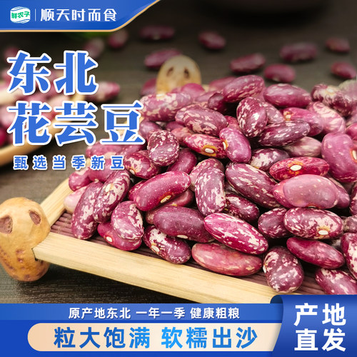 东北花芸豆2.5kg新货农家饭豆特产大碴粥五谷杂粮紫花腰豆5斤
