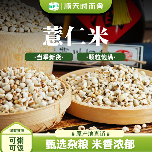 薏仁米新鲜去壳薏米仁苡仁五谷杂粮薏米粥新货小薏仁米贵州农家