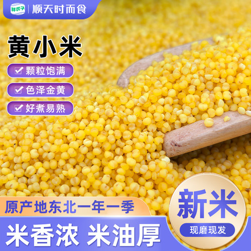 农家敖汉黄小米500g内蒙小米五谷杂粮粟米小米粥当季新米颗粒饱满