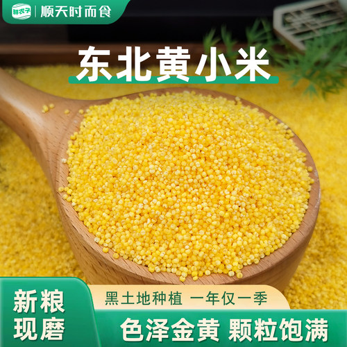 黄小米油小米粗粮小黄米新米五谷杂粮小米粥农家月子米熬粥