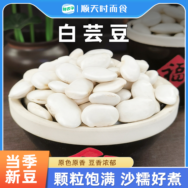 农家白芸豆新货大雪豆白扁豆大白芸豆白豆粒炖汤五谷杂粮芸豆1斤