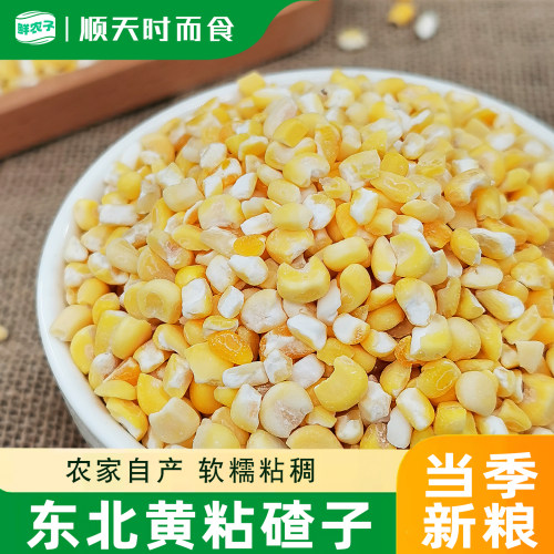东北黄粘碴子软糯黏玉米碴粗粮粘苞米玉米糁黄粘大碴子五谷杂粮