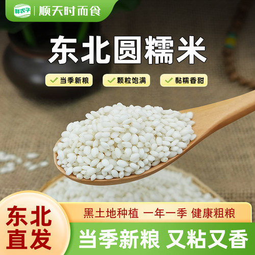 东北圆糯米新米农家自产白江米包粽子汤圆5斤当季新粮圆粒糯米