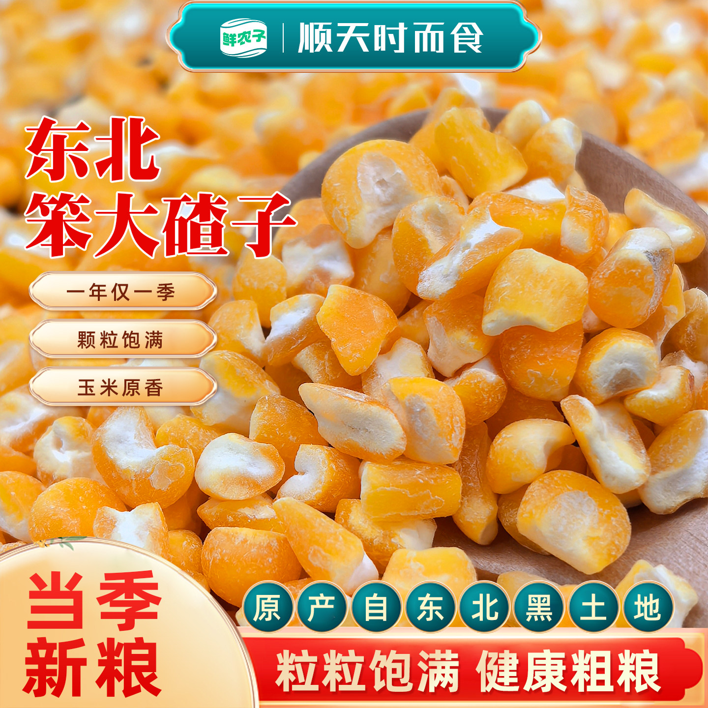 东北笨大碴子正宗笨碴子玉米糁玉米粥粗粮苞米碴子农家玉米碴