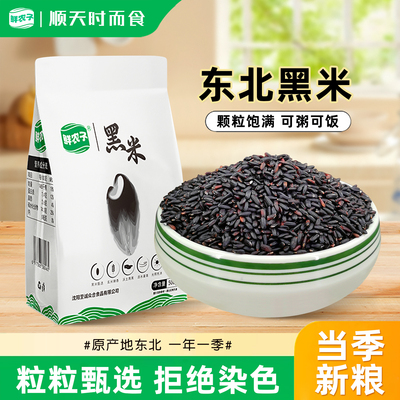 东北黑米新米500g农家自种黑香米大米紫米煮粥焖饭五谷杂粮粗粮