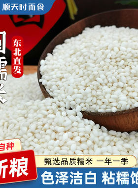 正宗东北江米圆糯米白2024年新米粘米黏农家五谷杂粮包粽子5斤