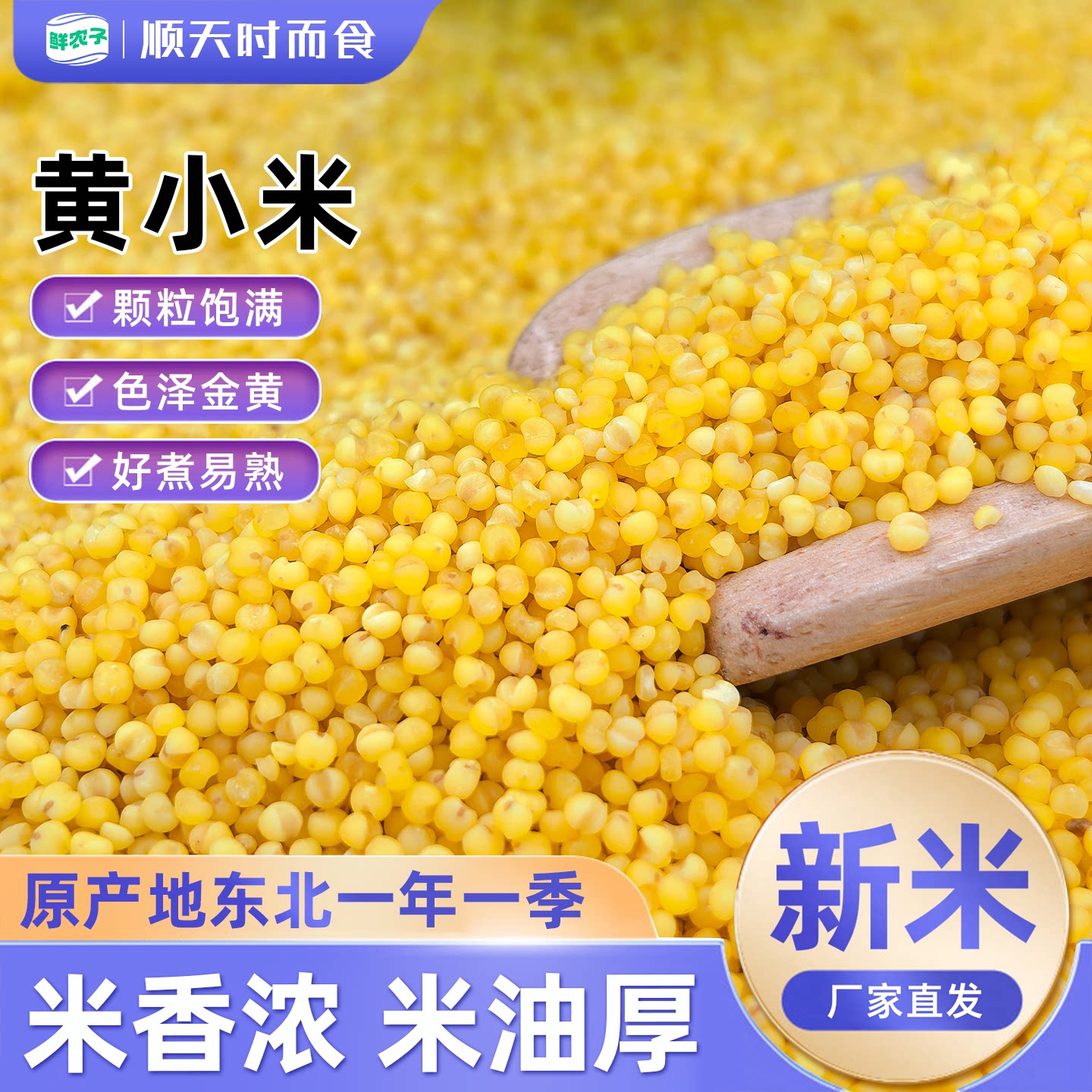 农家敖汉黄小米500g内蒙小米杂粮粟米小米粥当季新米颗粒饱满 - 实物图