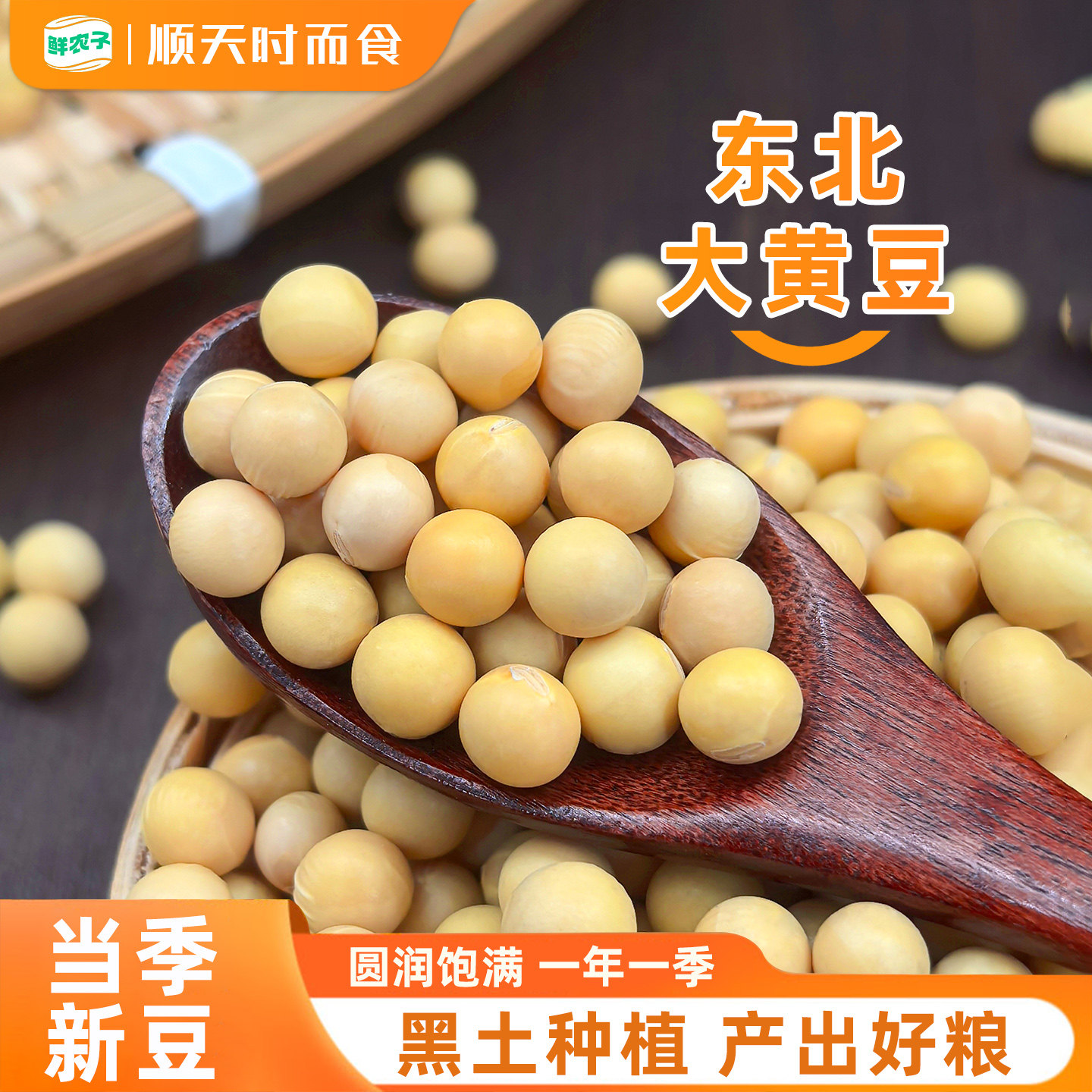 东北黄大豆高蛋白新豆农家自产五谷杂粮豆浆豆芽非转基因黄豆小包
