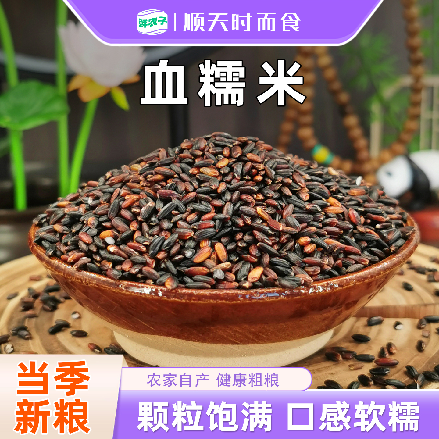 正宗血糯米当季新米五谷粗粮农家紫米糯米饭团杂粮香米奶茶酒酿