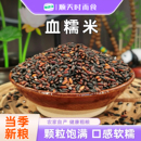 正宗血糯米当季 新米五谷粗粮农家紫米糯米饭团杂粮香米奶茶酒酿