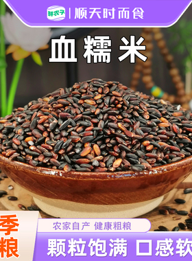正宗血糯米当季新米五谷粗粮农家紫米糯米饭团杂粮香米奶茶酒酿