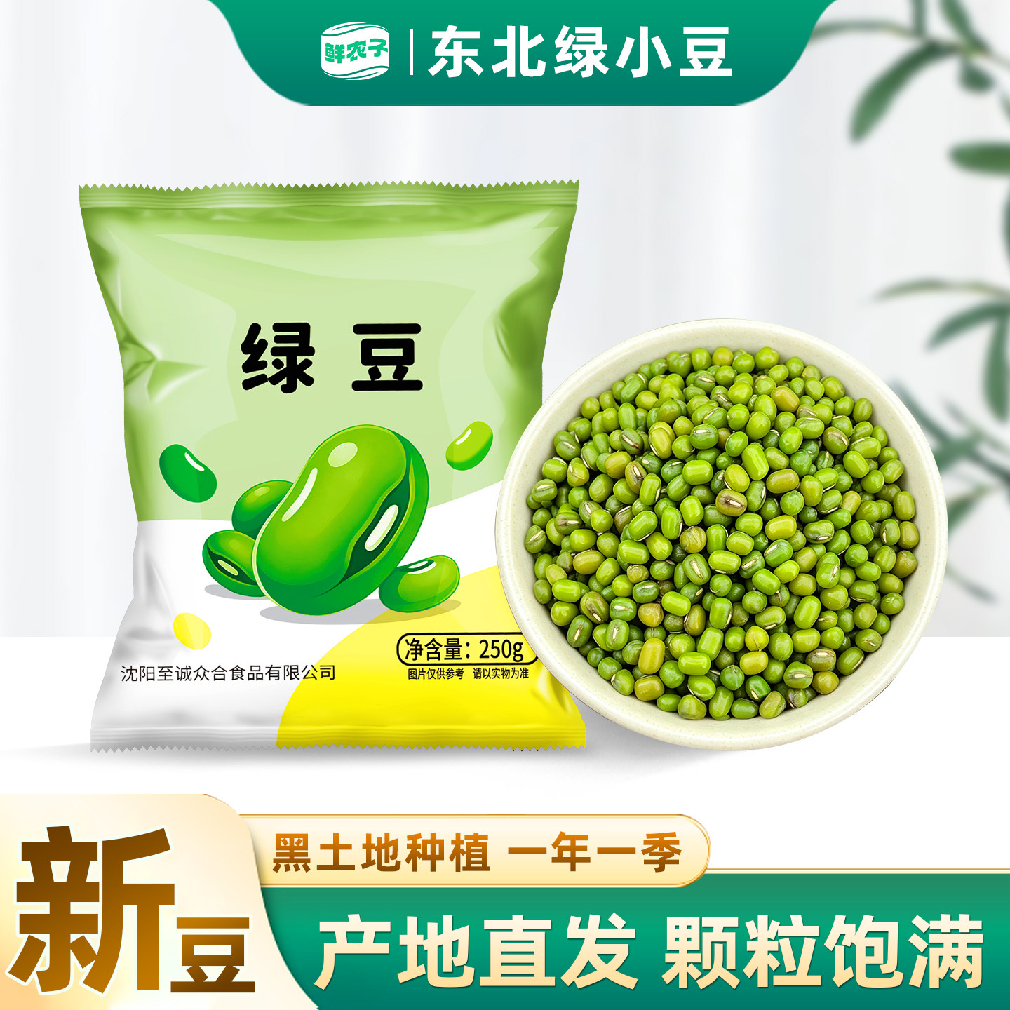 东北小绿豆袋装250g新货五谷杂粮发豆芽粥原料专用豆子绿豆汤农家