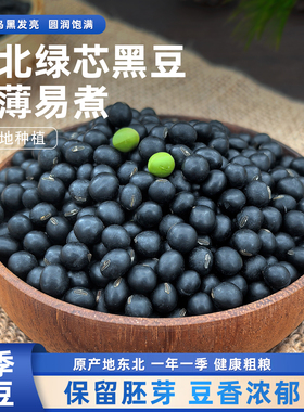东北黑豆绿芯打豆浆专用颗粒饱满五谷杂粮生绿芯黑豆新货农家粗粮