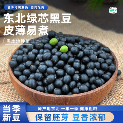 东北黑豆绿芯打豆浆专用颗粒饱满五谷杂粮生绿芯黑豆新货农家粗粮