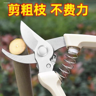 修枝修花剪枝杆打顶园艺工具剪刀剪树枝专用园林修剪果树花艺剪子
