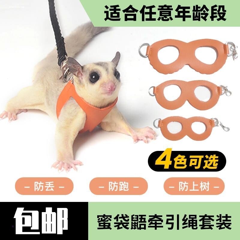 溜仓鼠牵引绳松鼠金丝熊外出龙猫背心式豚鼠花枝鼠小的绳子专用绳,宠物/宠物食品及用品,玩具/造景装饰,淘宝优惠券,粉丝福利购,淘宝优惠卷