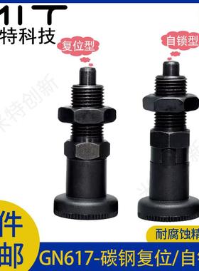 GN617冈特旋钮柱塞碳钢自锁/复位发黑弹簧行程柱塞MT305F/MT305Z