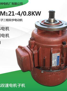 南京特种ZDM121-4 0.8KW锥刹电机5T吨ZDS0.8/7.5KW双速电机小电机