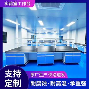 全钢实验台钢木工作台操作台PP试验边台化验桌理化板中央台定制