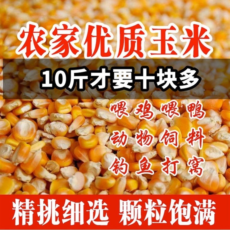 速发玉米粒玉米粉喂鸡鸭50斤玉米碎干通鸡食料粮食米玉普饲料鸽粮