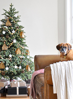 速发大型圣诞树装饰1.581.米米2.1米家用圣诞树套餐商场酒摆场景