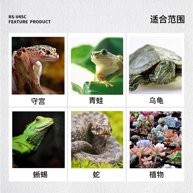 速发爬宠垫材椰砖饲养箱环境造景椰土过冬材料苔藓保湿小乌龟冬眠