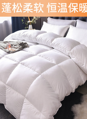 羽绒被95白鹅绒冬被酒店鹅毛被子被芯冬季保暖鸭绒被宿舍春秋新品