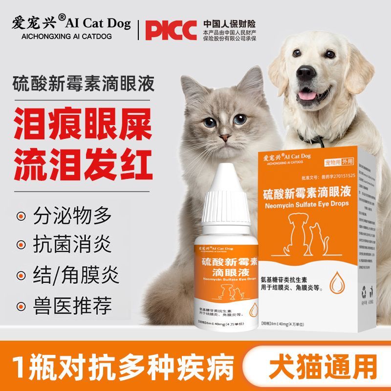 猫咪滴眼液狗狗眼睛流脓红肿小猫泪痕眼屎宠物抗菌消炎眼药水