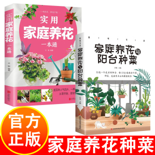 实用家庭养花阳台种菜一本通 彩图详解 花卉养护知识 鲜花品种介绍养护知识书 养花教程花卉知识介绍种植栽培修剪指导繁殖法书籍