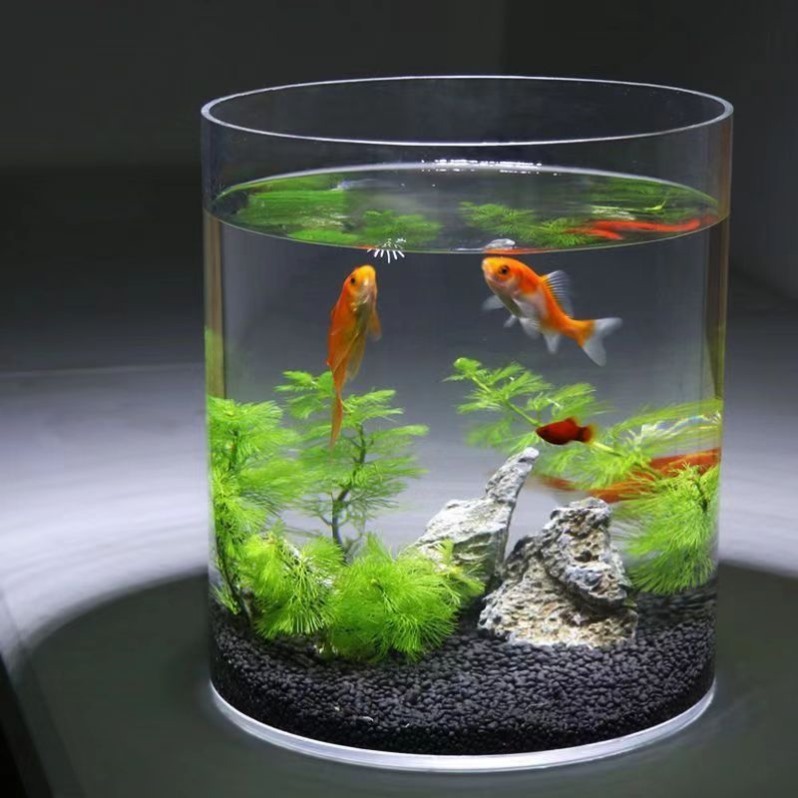 创意加厚直筒玻璃鱼缸圆柱形大号客厅落地花瓶水培透明玻璃摆件