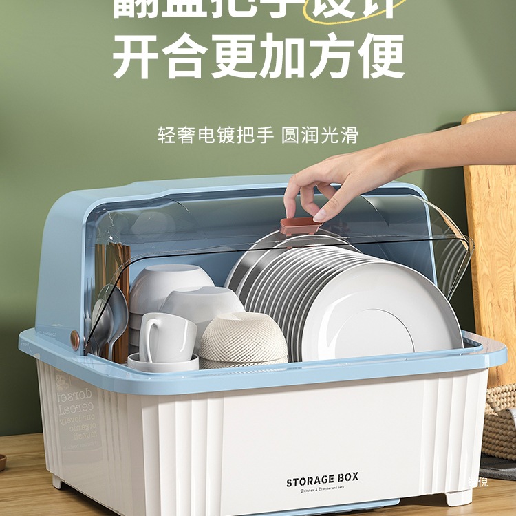 碗筷收纳盒碗柜带盖装餐具碗盘箱放碗家用置物厨房加厚沥水碗碟架