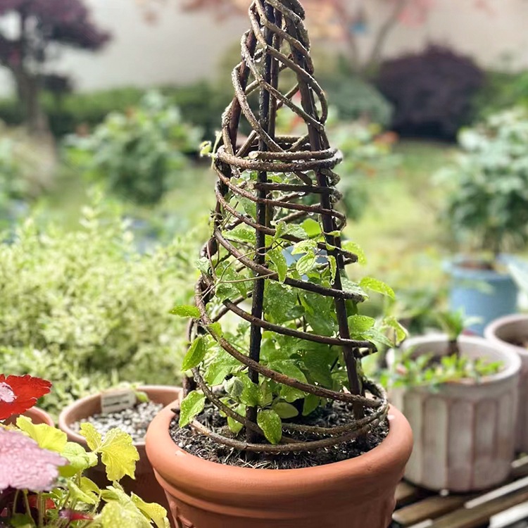 |园艺杂货 手工制带皮柳编花架植物攀爬架 迷你爬藤架