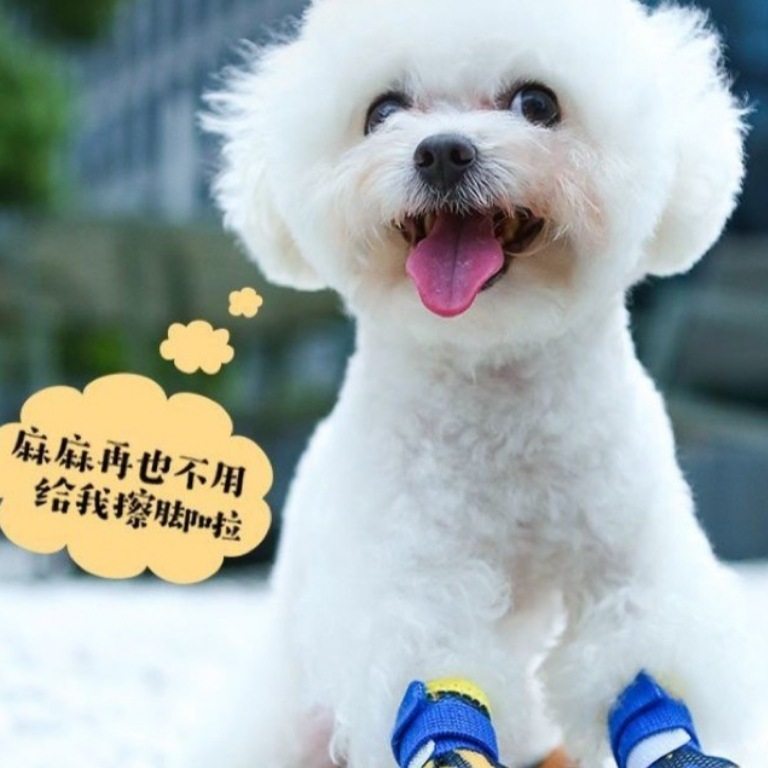 小狗鞋子夏季四季网鞋泰迪博美犬跑步狗鞋透气舒适防掉4只装夏天