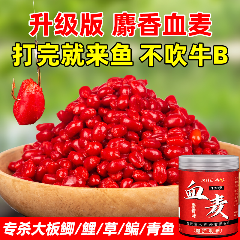 速发谷麦钓麦粒颗粒鱼料鱼食野钓用专鲤鱼草青鱼钓饵坑黑钓料