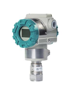 压力变送器型号:PDS803GH-1BS3-D2DN/G70库号：M137234