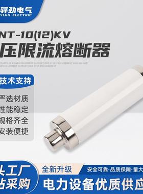XRNT-10(12)KV50-125A高压限流熔断器保险管高压限流熔断器互感器