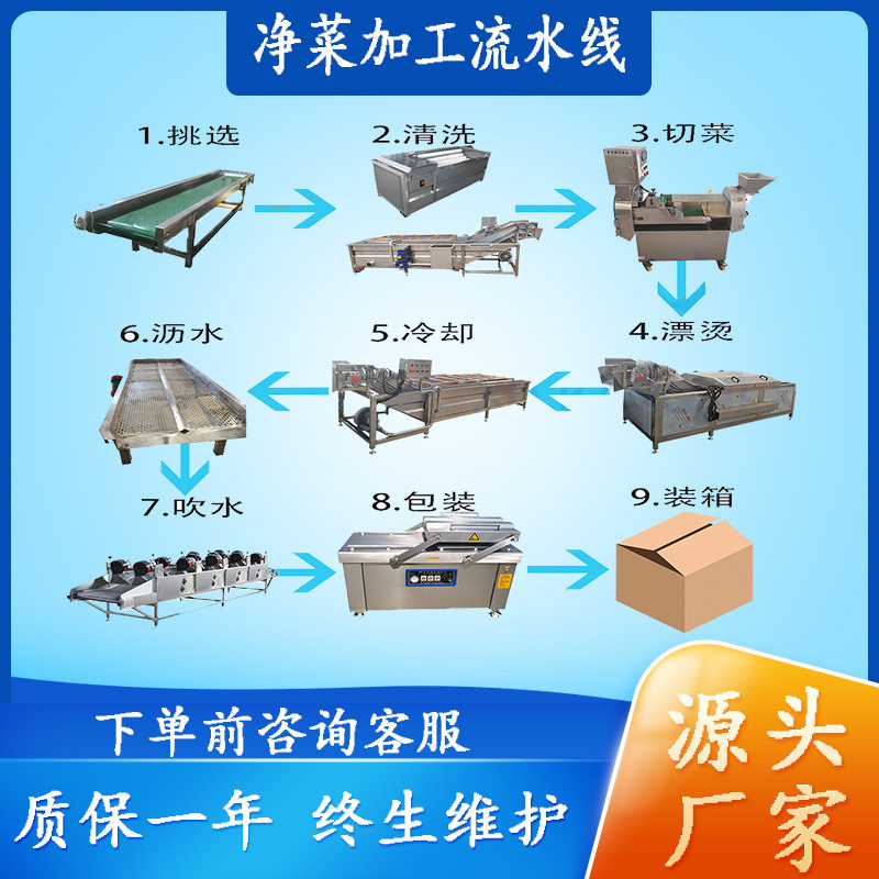 商用净菜气泡清洗机自动提升喷淋