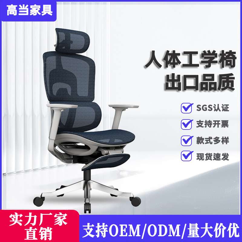 进口特网椅人体工学多功能家用办公员工椅久坐椅子电脑椅转椅