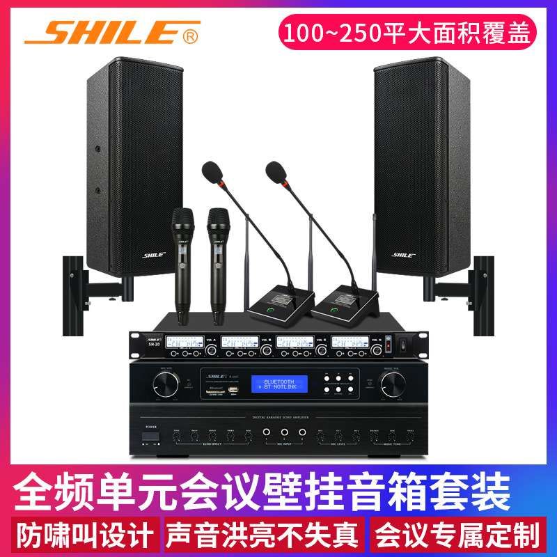 狮乐OK-555C/BX-404中小型会议室音响套装 木质壁挂音箱功放设备