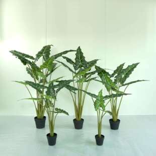 北欧仿真萨利安海芋绿植盆栽黑白犀牛大仙女海芋网红观景落地装饰
