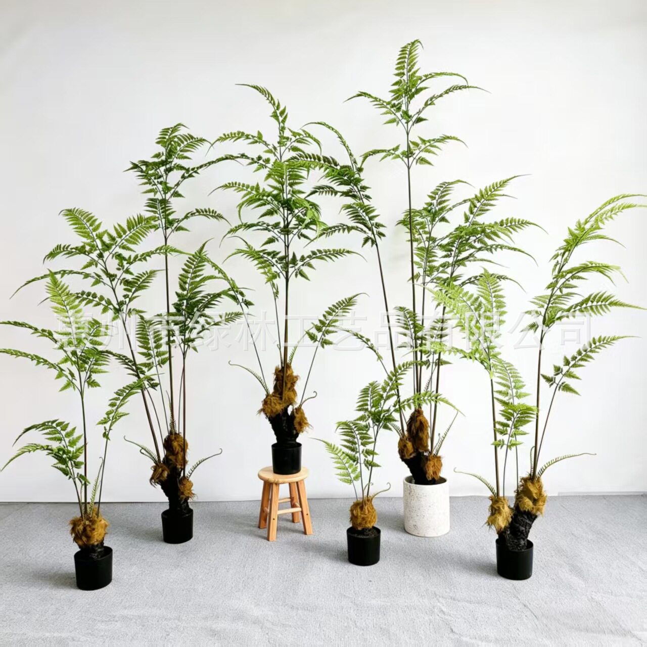 仿真猴头蕨马尾葵盆栽仿真蕨树绿植家居室内植物盆栽景观装饰批发