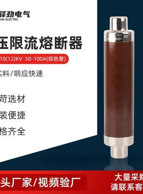 高压限流熔断器XRNT-10(12)KV50-100A(棕色管)保险管陶瓷熔管
